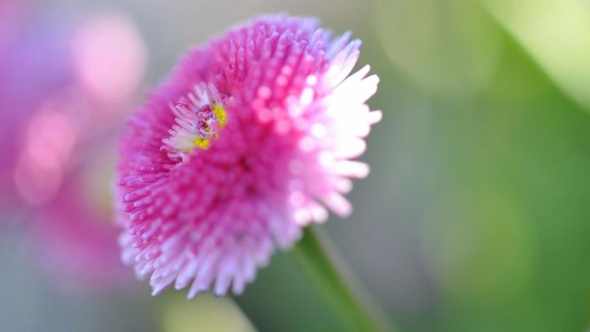 lumière printannière