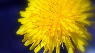 Résultat de recherche: Soleil soleil ...