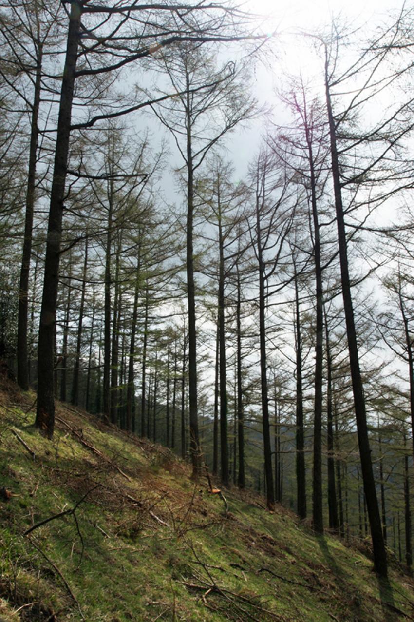 Randonnée vers la Rhune (3 )