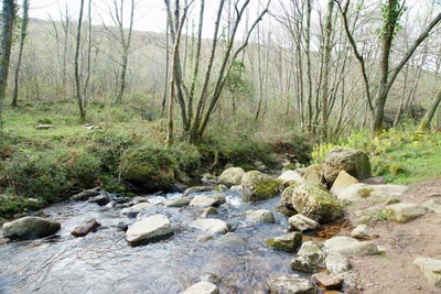 Résultat de recherche: Randonnée vers la Rhune ( 1 )