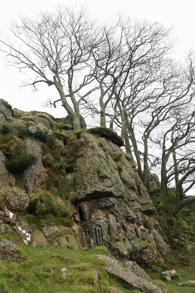 Résultat de recherche: Randonnée vers la Rhune ( 4 )