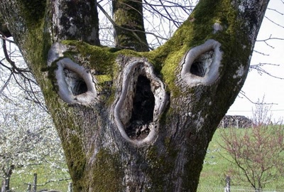 Résultat de recherche: Reprenez tous ensembles .....