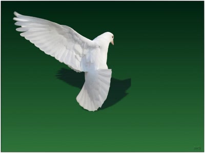 Résultat de recherche: Colombe26311 5