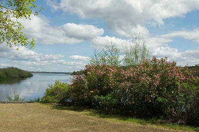 Résultat de recherche: Le lac d'Aureilhan au printemps