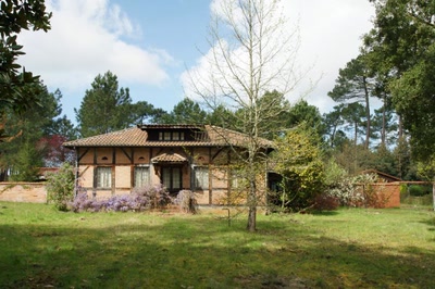 Le lac d'Aureilhan au printemps