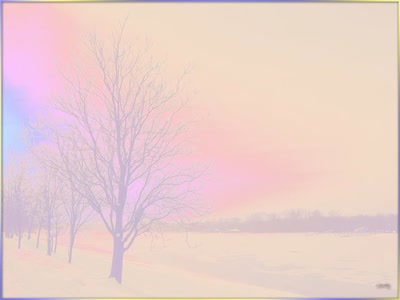 Résultat de recherche: Arbre