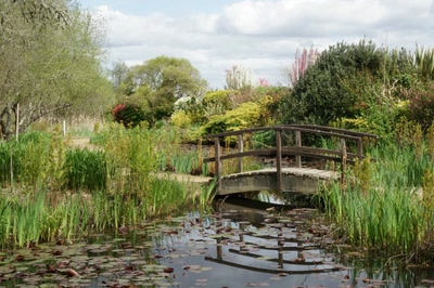 Résultat de recherche: Le lac d'Aureilhan au printemps