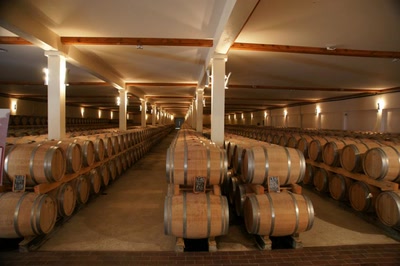 Chateaux de vin en Médoc