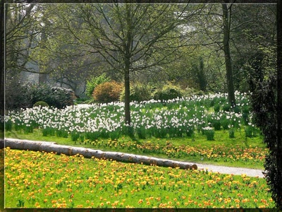 Œuvre de biotrans: Printemps à Bagatelle