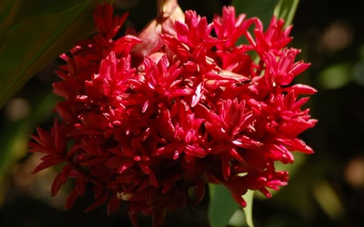 Œuvre de toe: Eclatement