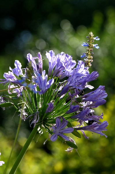 Œuvre de rami68: En Touraine