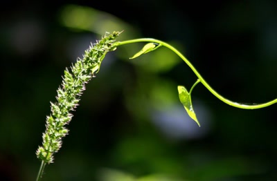 Œuvre de rami68: Rencontre...