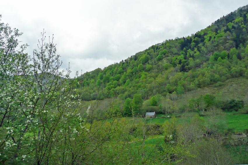 Printemps à Azet (Htes Pyrénées)