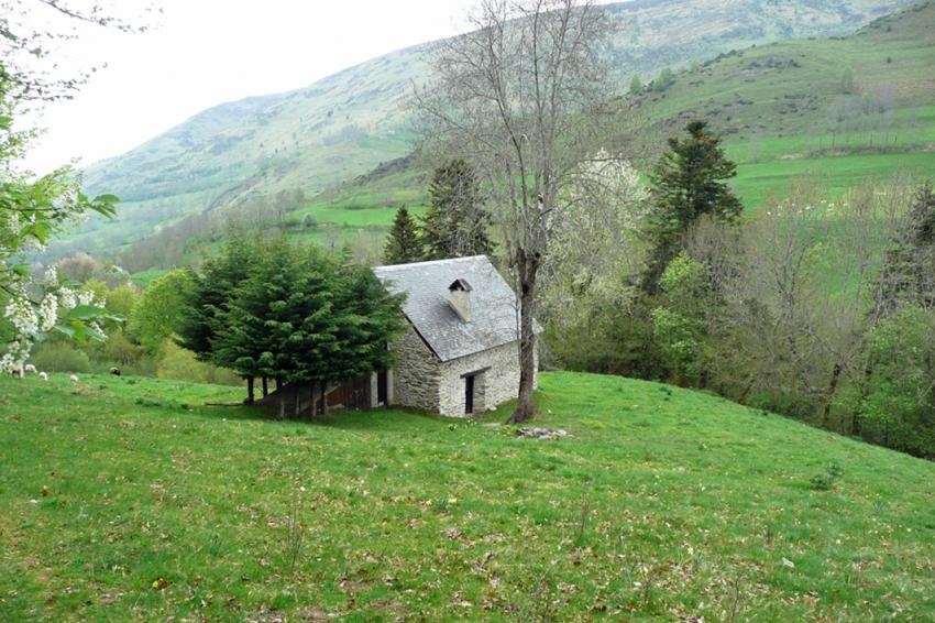 Printemps à Azet (Htes Pyrénées)
