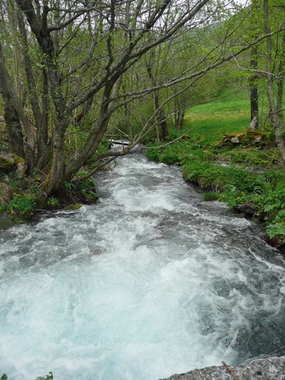 Résultat de recherche: Printemps à Azet (Htes Pyrénées)