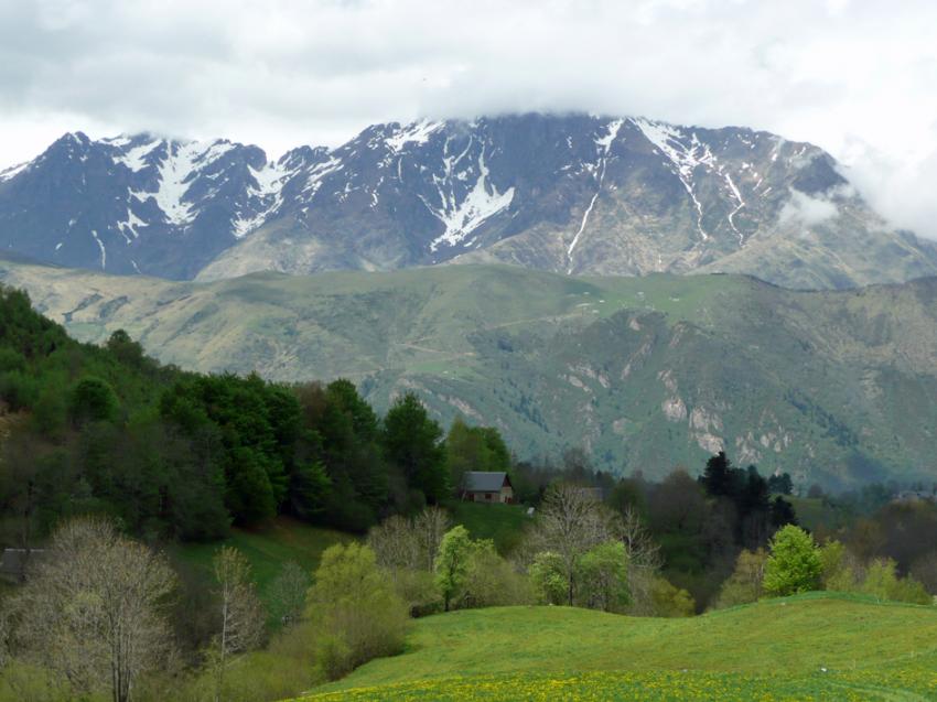 Printemps à Azet ( Htes Pyrénées)