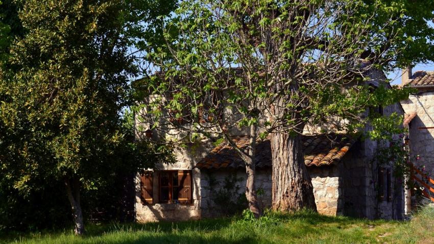 petite maison de campagne à l'orée du bois