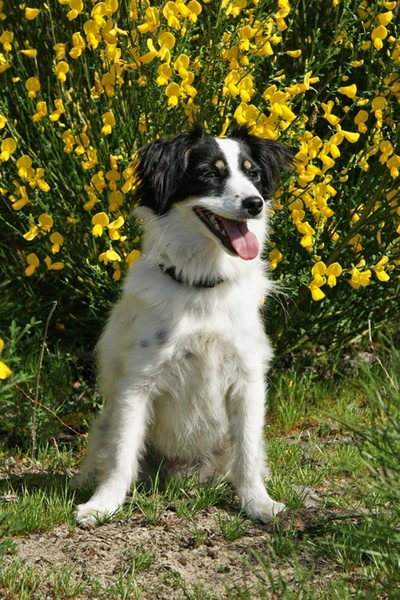 Résultat de recherche: Ella