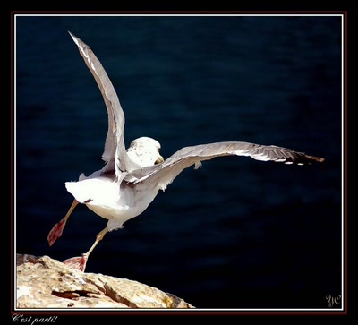 Œuvre de Chasseur de Temps: Le Tour du Portugal en 21 jours    (Page 55)