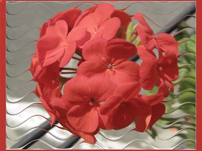 Œuvre de Zvrki: Fleur 24411b