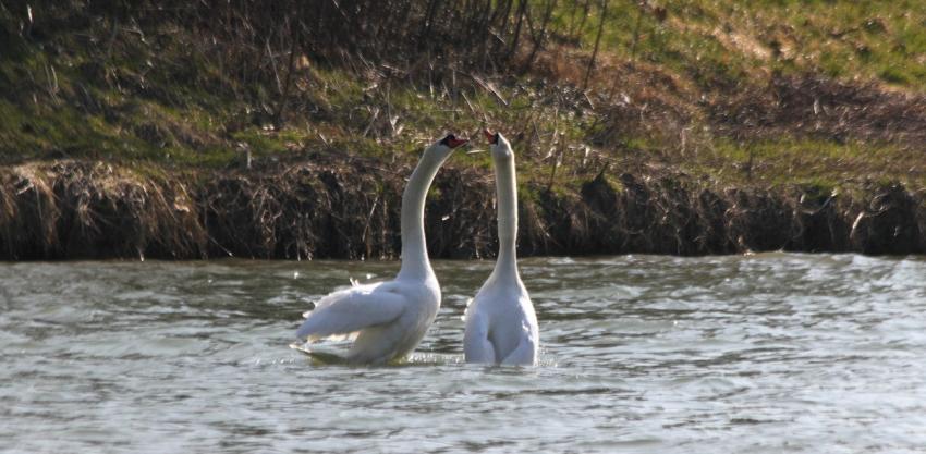 Et alors ? C'était...