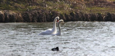 Œuvre de rami68: L'après...