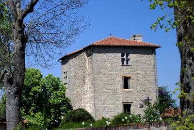 Résultat de recherche: manoir de Vernay a st Galmier ,Loire 42