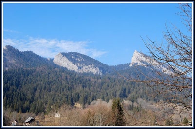 Résultat de recherche: La Chartreuse au Sappey (38)