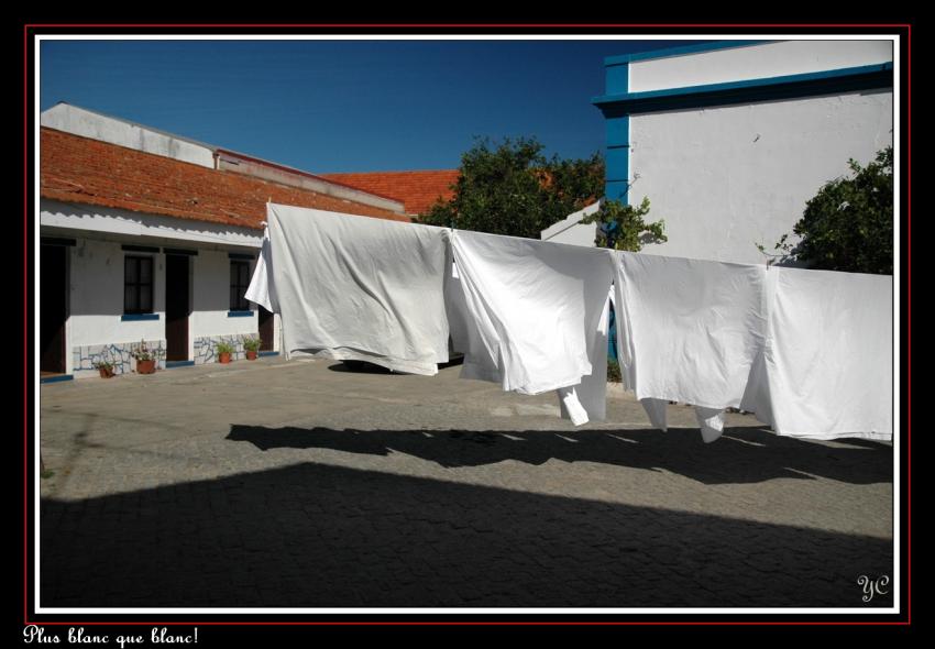 Le Tour du Portugal en 21 jours   (Page 66)