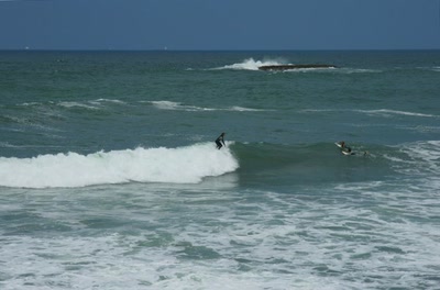 Résultat de recherche: Pays Basque