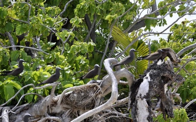 Œuvre de toe: Repos