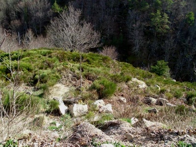 col de rhode dourbies