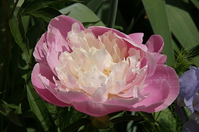 Résultat de recherche: Saint Emilion