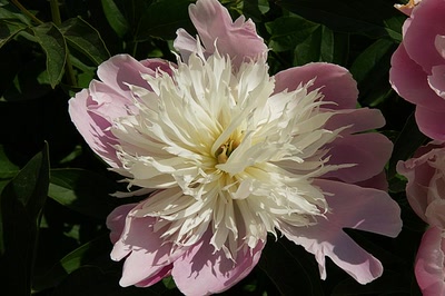 Résultat de recherche: Saint Emilion