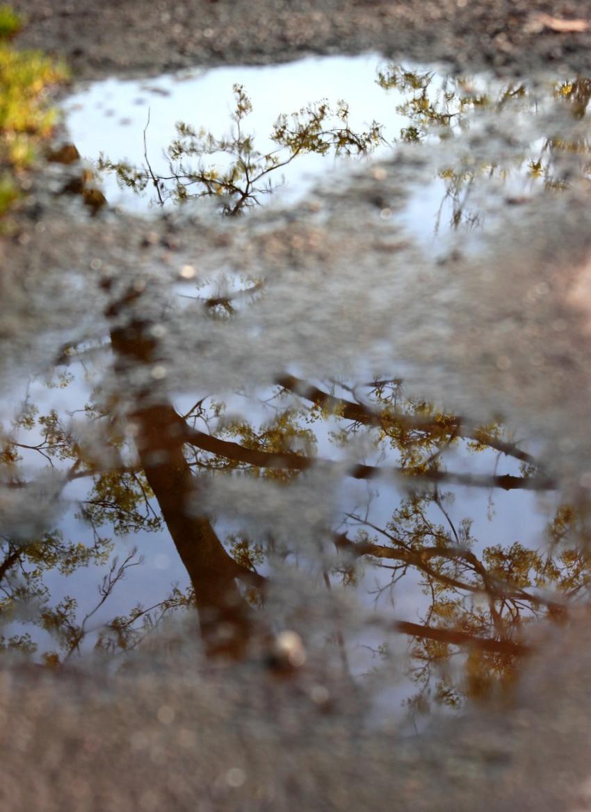 Après la pluie d'une nuit (c'était il y a un momen