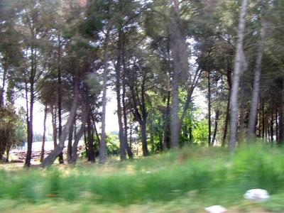 Résultat de recherche: rte de la petite camargue