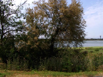 Résultat de recherche: rte de la petite camargue