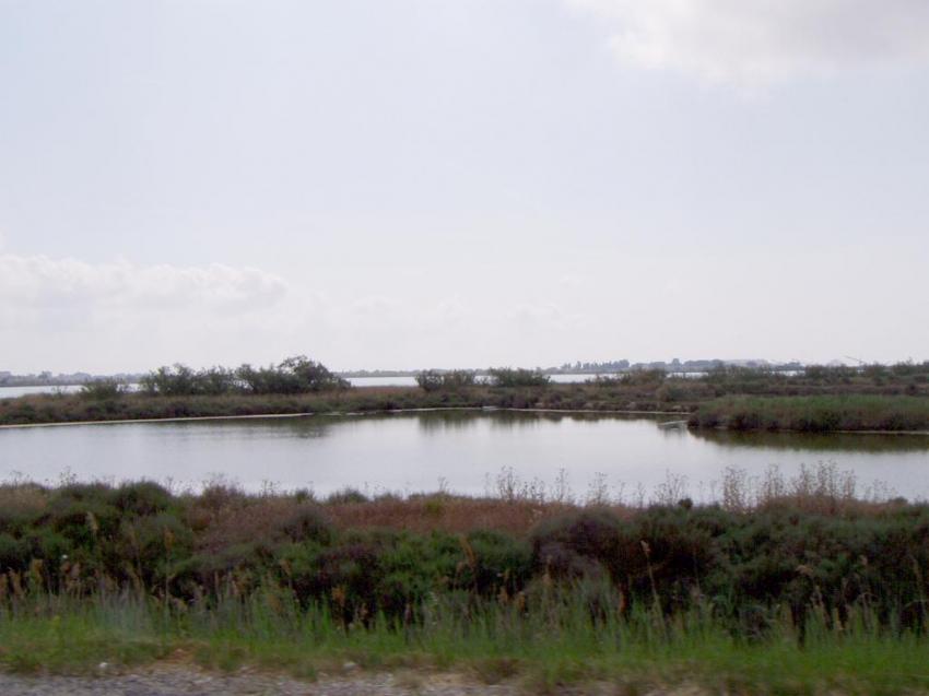 les berges du canal vers st marie