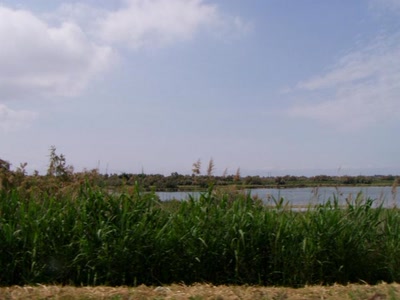 Résultat de recherche: rte de petite camargue