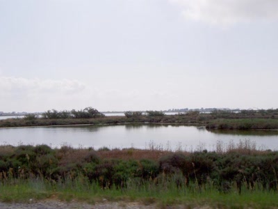 Résultat de recherche: les berges du canal vers st marie