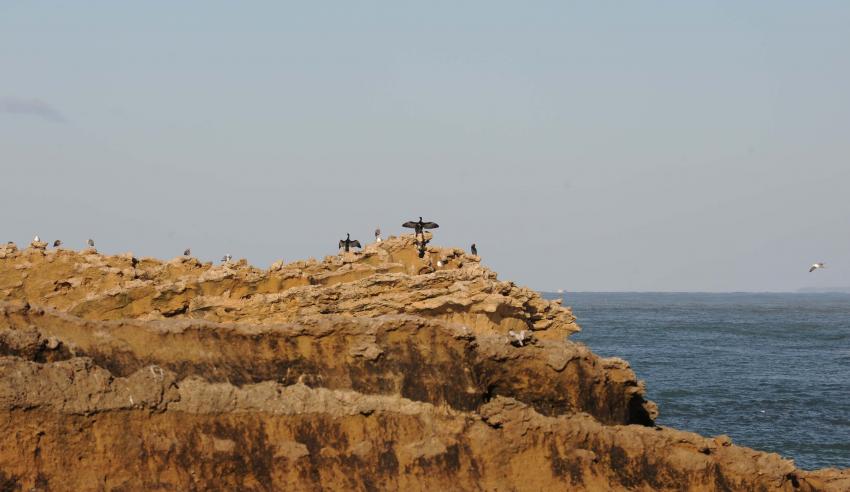 Virée au Pays Basque