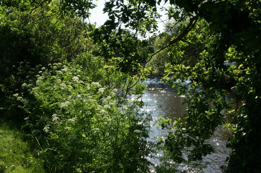 En longeant la Leyre