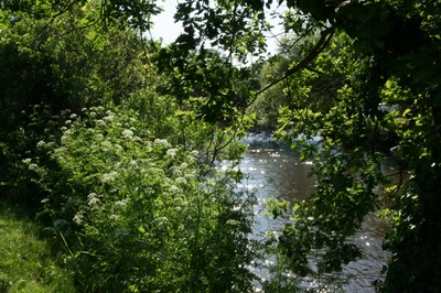 Résultat de recherche: En longeant la Leyre