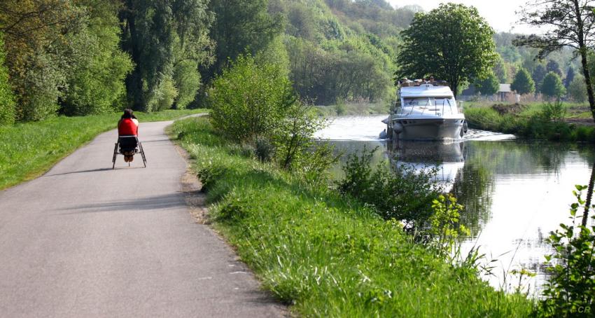 La force naturelle et la force mécanique