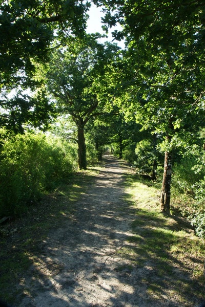 En longeant la Leyre