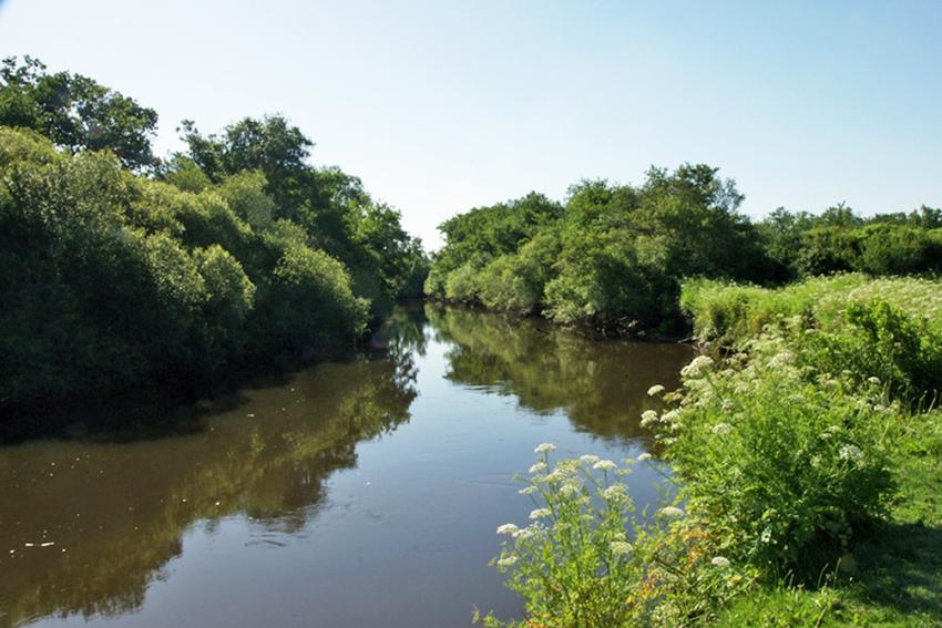 En longeant la Leyre