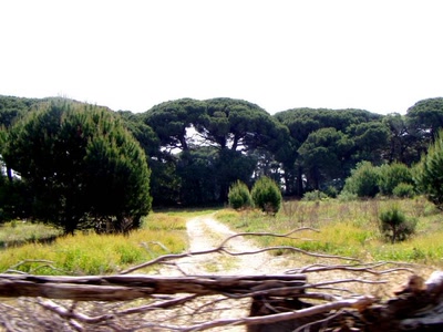 Résultat de recherche: rte st marie