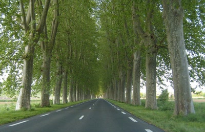 Œuvre de boubou: La route