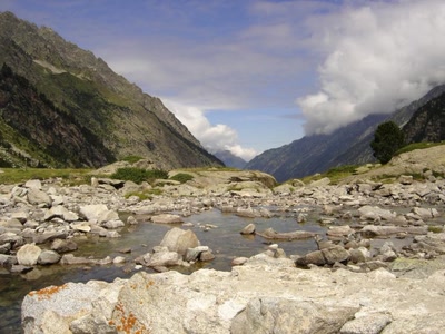 Œuvre de martagon: Pyrénées