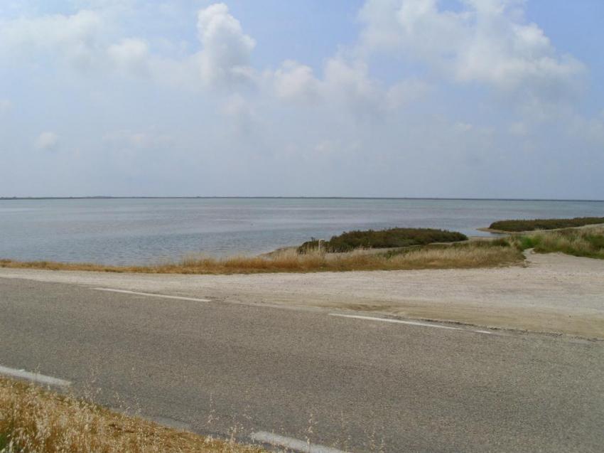 salins du giraud